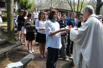 Velik_2011_NE-04.jpg