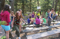 Velik_2011_NE-11.jpg