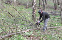 1_Kvetnovka_2011_36.jpg