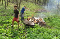 1_Kvetnovka_2011_13.jpg