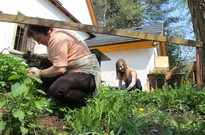 1_Kvetnovka_2011_21.jpg