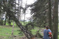 1_Kvetnovka_2011_42.jpg