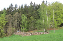 Priroda_Amer_5_2011_02.jpg