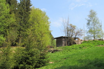 Priroda_Amer_5_2011_39.jpg