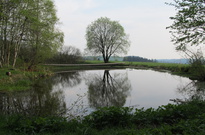Priroda_Amer_5_2011_43.jpg