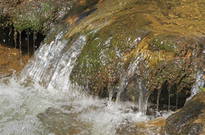 Priroda_Amer_5_2011_29.jpg