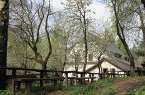 Priroda_Amer_5_2011_11.jpg