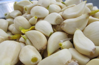 Priroda_Amer_5_2011_47.jpg