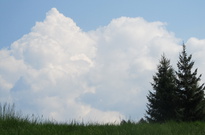Priroda_Amer_5_2011_40.jpg