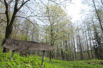 Květnová příroda Ameriky 2011