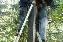Stavecky2011_1.den19.jpg