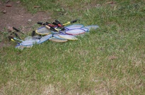 Stavecky2011_5-6den15.jpg