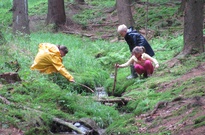 2. běh 12. den 2011 St