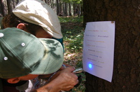 Rodiny2_2den2011 22.jpg
