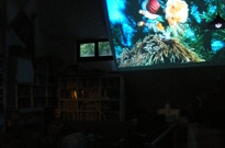 Rodiny2_3den2011 31.jpg