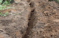 1Zarijovky2011_15.jpg