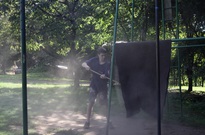 1Zarijovky2011_30.jpg