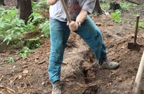 1Zarijovky2011_16.jpg