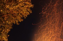 1Zarijovky2011_23.jpg