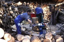 2Zarijovky2011_39.jpg