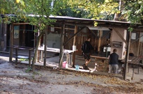 2Zarijovky2011_13.jpg