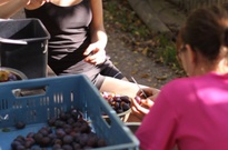 2Zarijovky2011_38.jpg