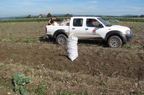 2Zarijovky(prvni)2011_59.jpg