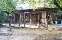2Zarijovky2011_52.jpg