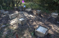 2Zarijovky2011_56.jpg