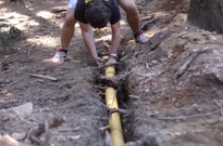 2Zarijovky2011_35.jpg