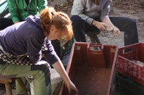 2Zarijovky2011_19.jpg