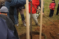 2011_11_5_Strom_Anez_28.jpg