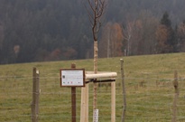 2011_11_5_Strom_Anez_48.jpg