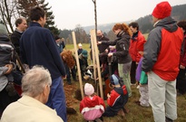 2011_11_5_Strom_Anez_24.jpg