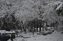 Vanoce_2011_03den06.jpg