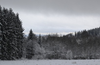 Vanoce_2011_03den20.jpg