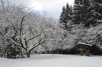 Vanoce_2011_04den12.jpg