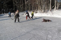 Pololetko-jaraky_2012_PA_12.jpg