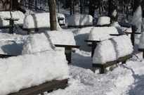 Pololetko-jaraky_2012_PA_09.jpg