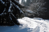 Pololetko-jaraky_2012_PA_07.jpg