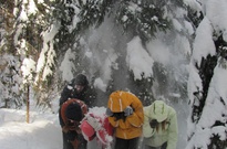 Pololet-jaraky_2012_NE_04.jpg