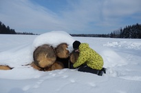 Pololet-jaraky_2012_NE_12.jpg