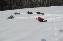 Pololet-jaraky_2012_NE_07.jpg
