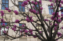 Skoleni_OMB_2012_06.jpg