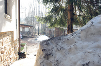 Postko_02.jpg