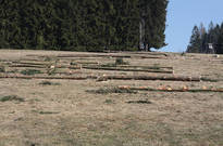 Postko_22.jpg