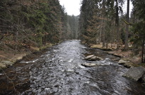 _DSC0767_resize.jpg