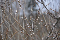 _DSC0853_resize.jpg