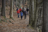 _DSC0809_resize.jpg