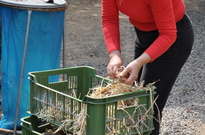 2.kvetnovka_2012_14.jpg